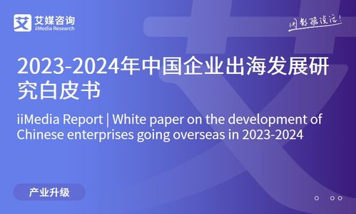 2023年中国互联网家居售后服务市场研究报告 信息技术咨询服务的角色与前景